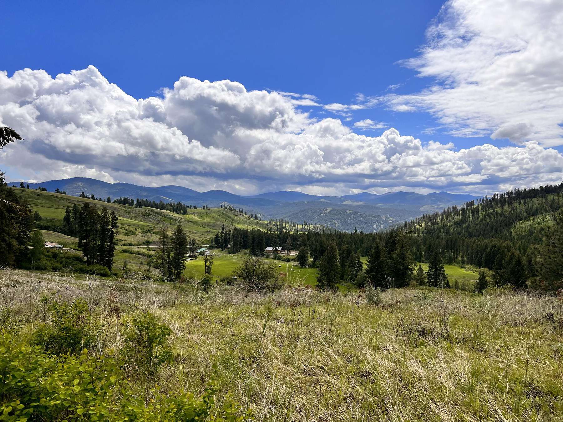 13.8 Acres of Land for Sale in Curlew, Washington