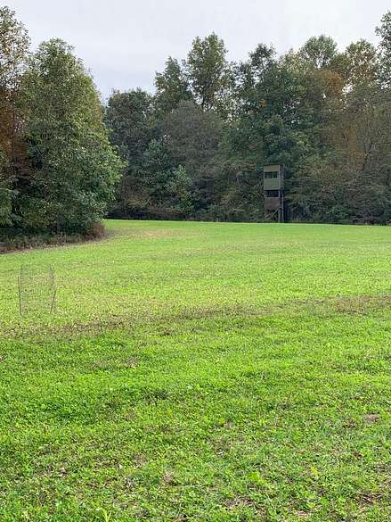 146 Acres of Recreational Land for Sale in Buffalo, Kentucky