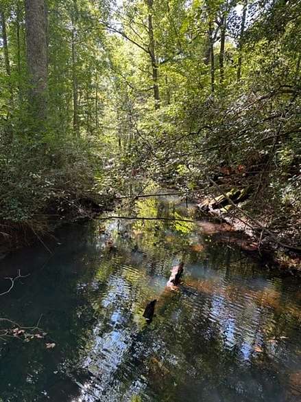45 Acres of Recreational Land for Sale in Palmer, Tennessee
