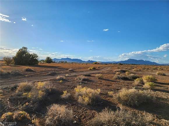 40 Acres of Agricultural Land for Sale in Pahrump, Nevada