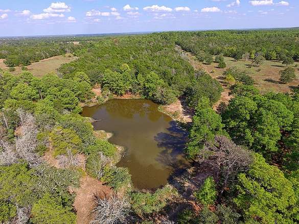 203 Acres of Recreational Land & Farm for Sale in La Grange, Texas