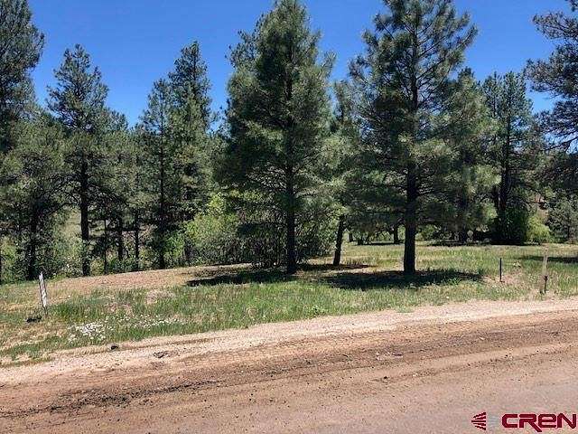 0.25 Acres of Residential Land for Sale in Pagosa Springs, Colorado
