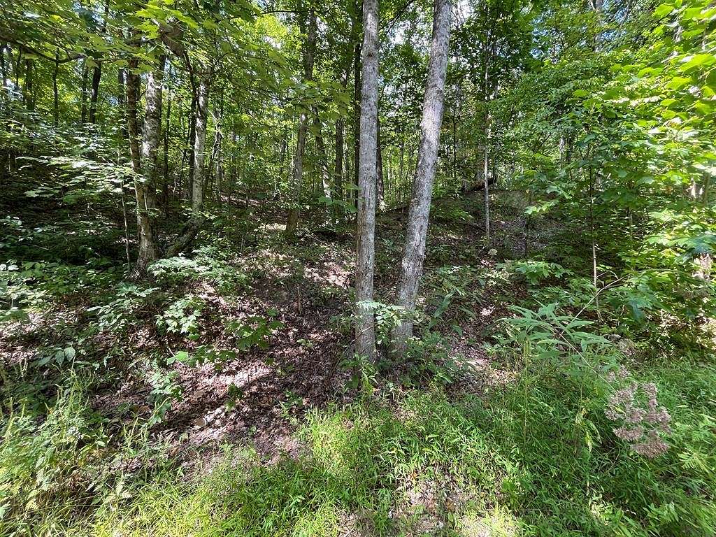 0.37 Acres of Residential Land for Sale in Sevierville, Tennessee