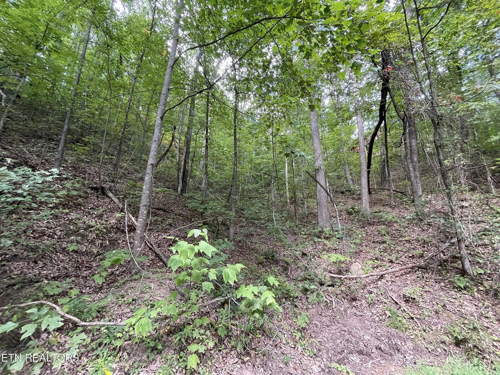 1 Acre of Land for Sale in Sevierville, Tennessee