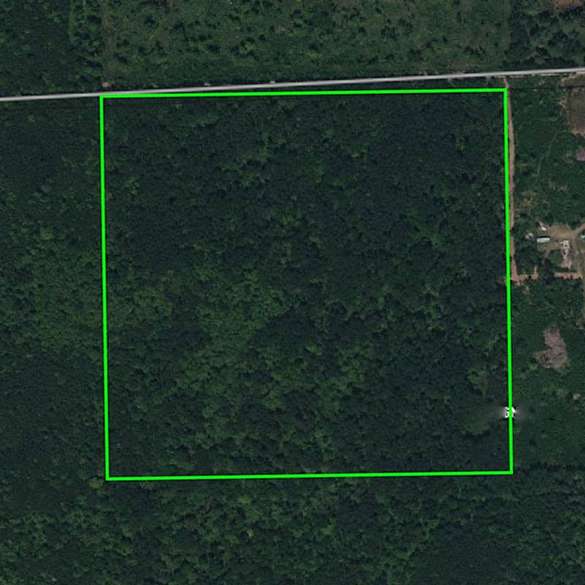 40.5 Acres of Land for Sale in Bagley, Minnesota