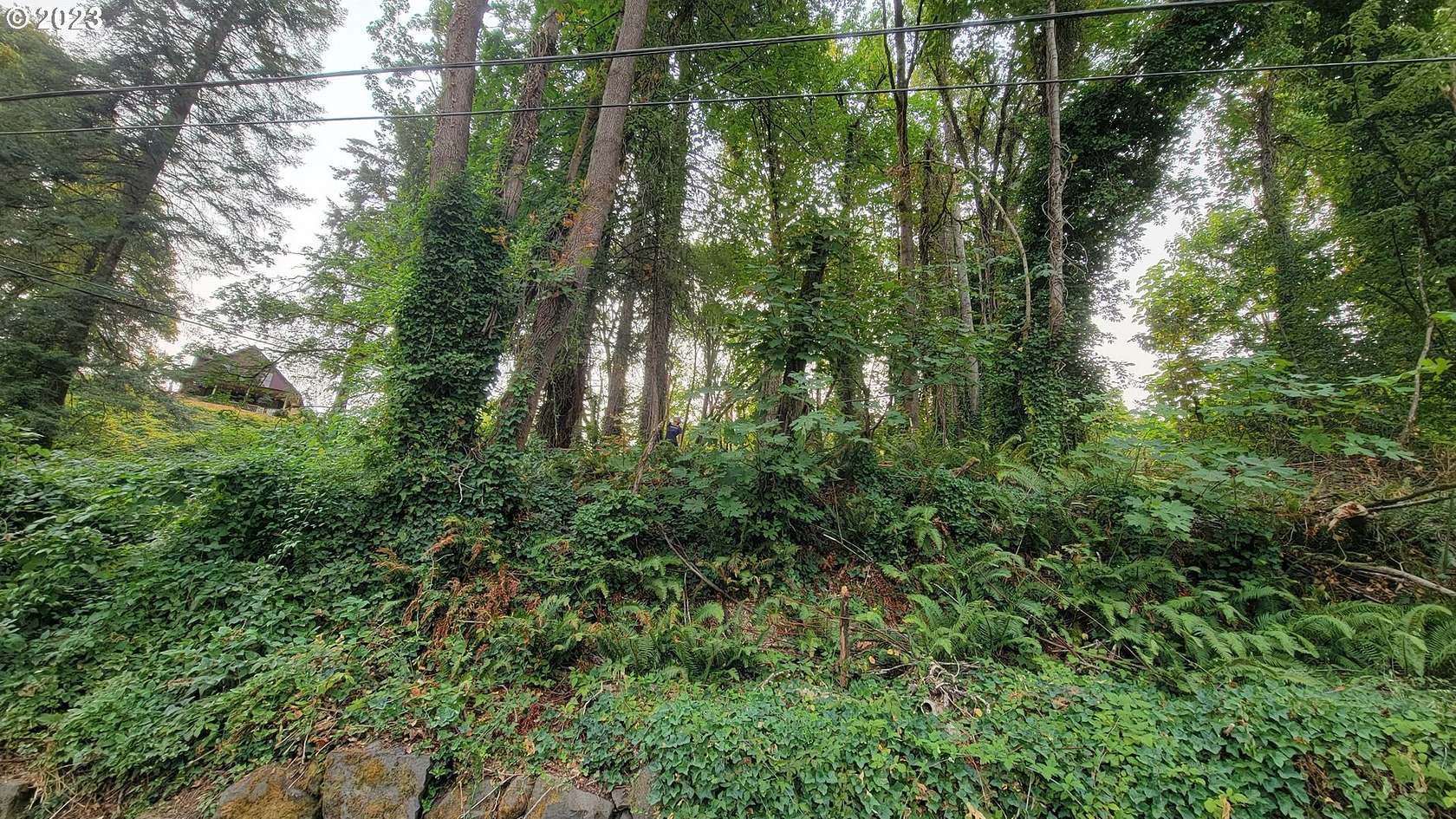 0.23 Acres of Residential Land for Sale in Oregon City, Oregon