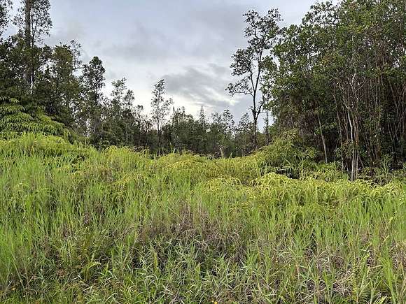 2 Acres of Land for Sale in Mountain View, Hawaii