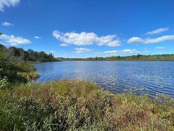 0.09 Acres of Land for Sale in Trout Lake, Michigan
