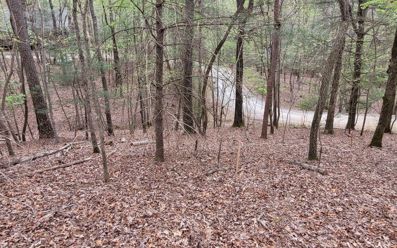 0.67 Acres of Residential Land for Sale in Ellijay, Georgia