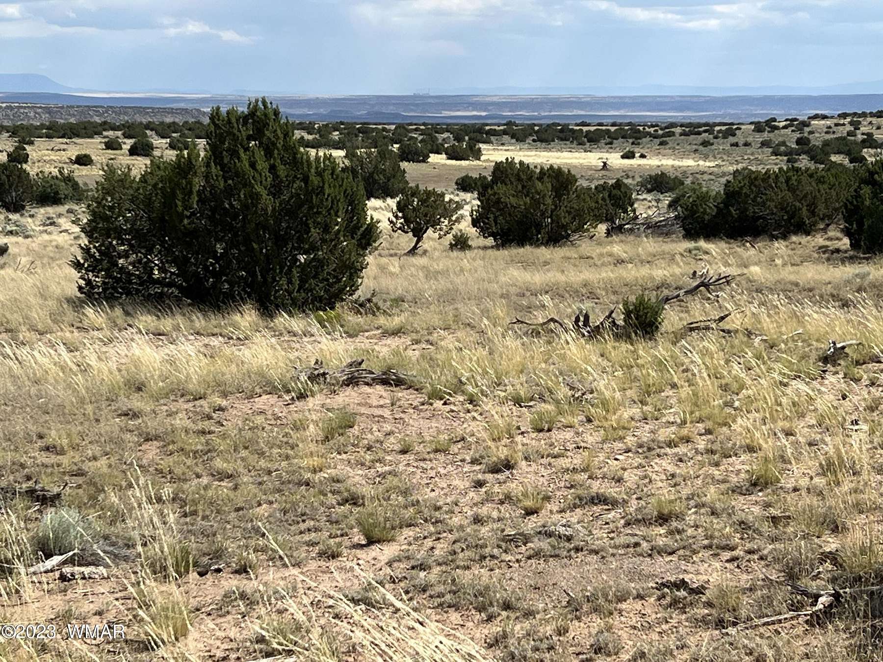 20.1 Acres of Land for Sale in St. Johns, Arizona