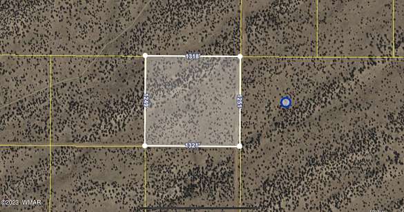 Land for Sale in St. Johns, Arizona