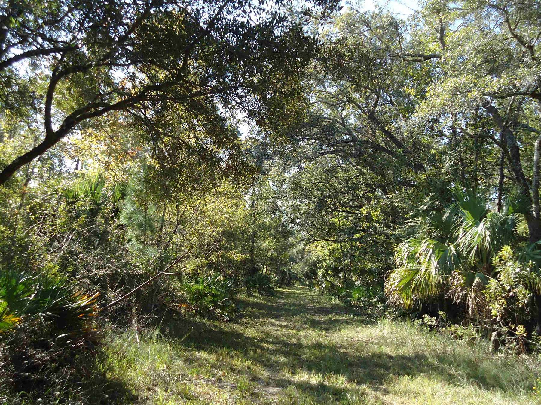 1,065 Acres of Recreational Land for Sale in Lamont, Florida