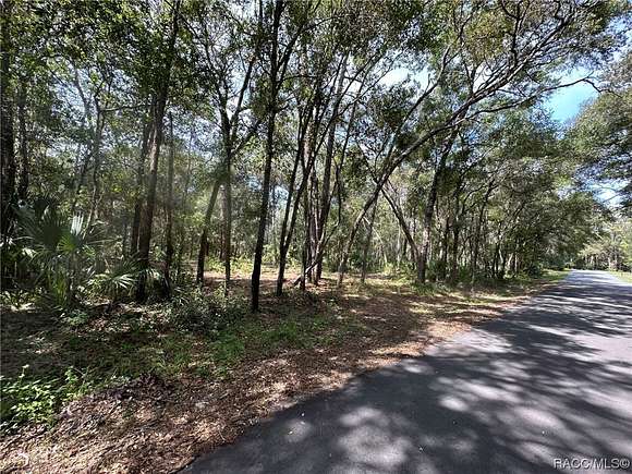 0.47 Acres of Residential Land for Sale in Crystal River, Florida