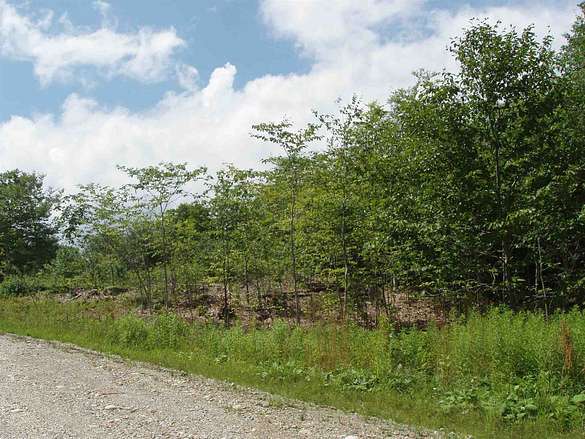 1 Acre of Residential Land for Sale in Winhall Town, Vermont