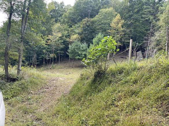 0.25 Acres of Land for Sale in Jumping Branch, West Virginia