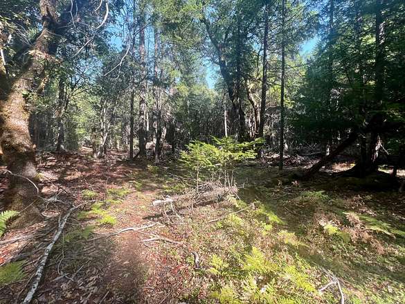 62 Acres of Recreational Land for Sale in Happy Camp, California