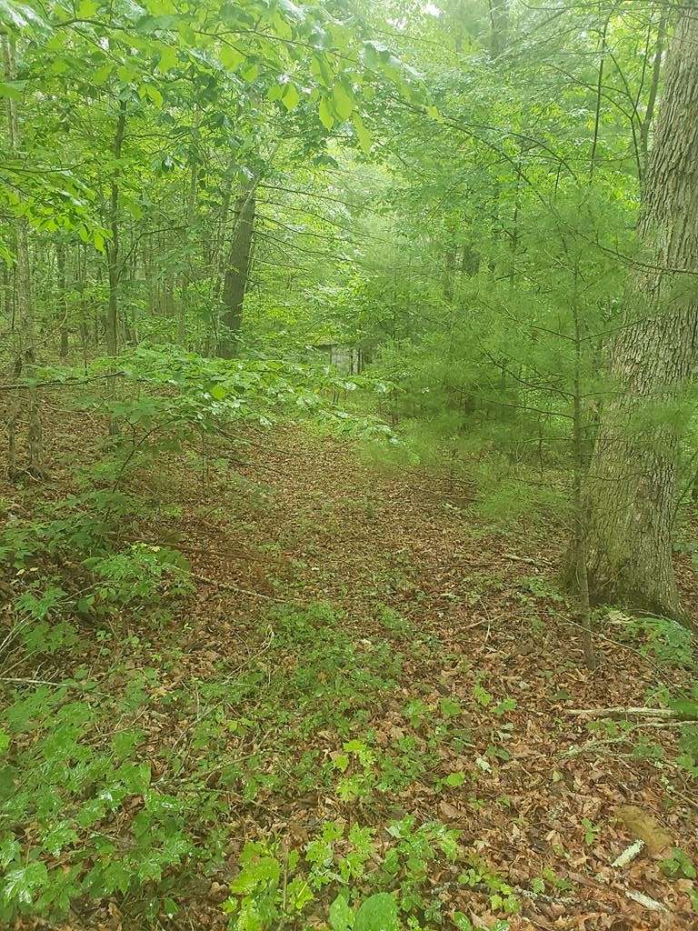 1 Acre of Residential Land for Sale in Gap Mills, West Virginia