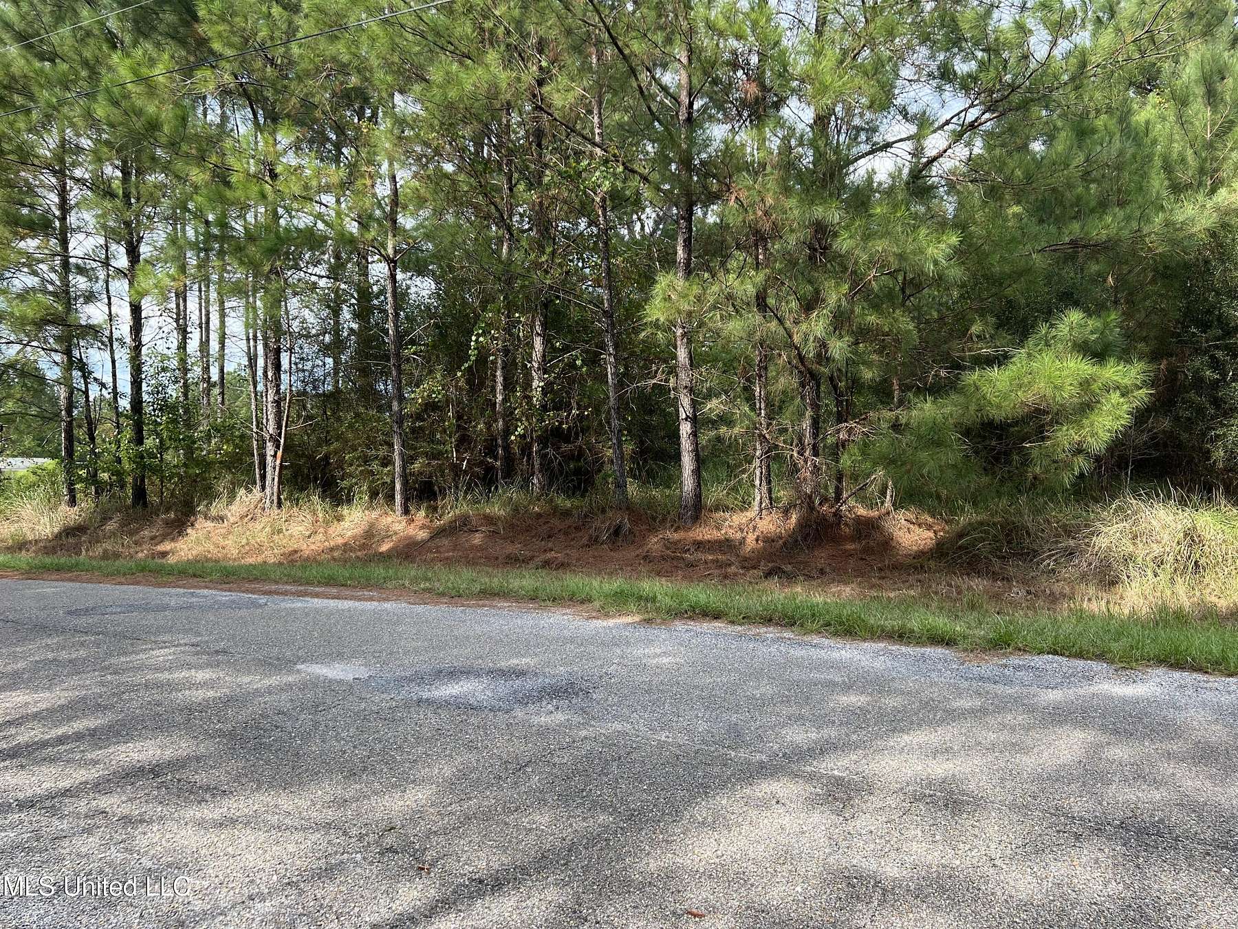 3.7 Acres of Residential Land for Sale in Wiggins, Mississippi
