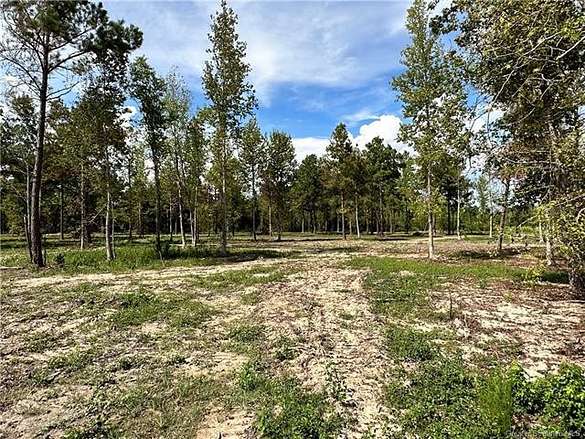 3.4 Acres of Land for Sale in Ragley, Louisiana