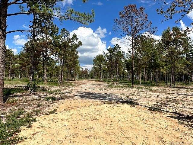 4.1 Acres of Land for Sale in Ragley, Louisiana