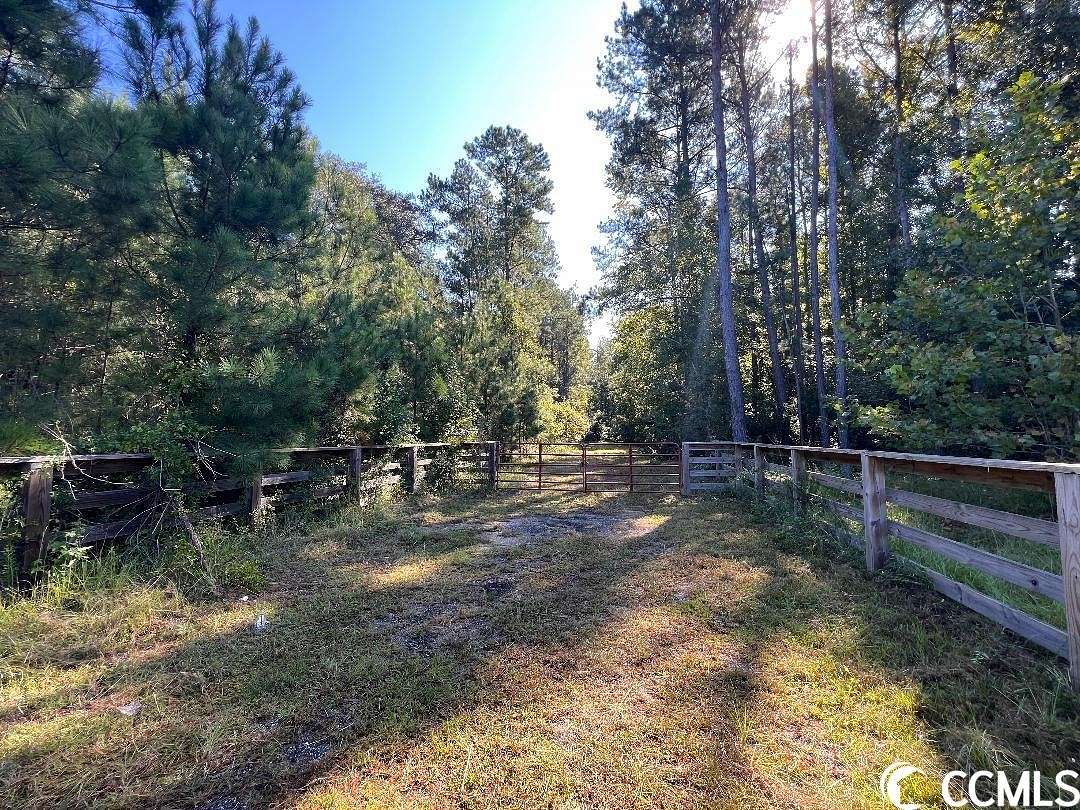 57.98 Acres of Land for Sale in Georgetown, South Carolina