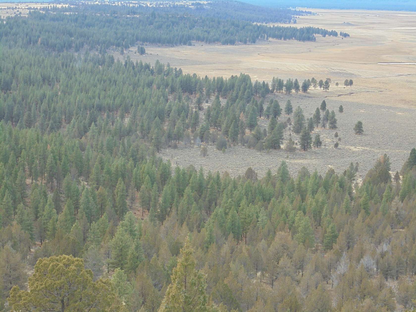 775 Acres of Recreational Land for Sale in Sprague River, Oregon