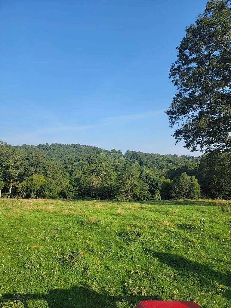 Land for Sale in Nallen, West Virginia