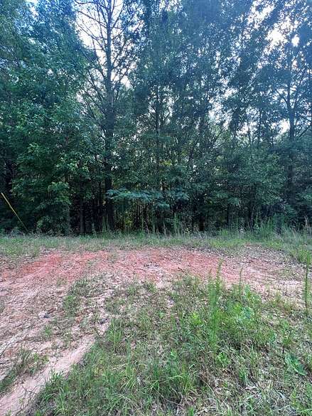 3 Acres of Mixed-Use Land for Sale in Goshen, Alabama