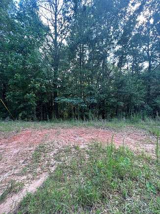 3 Acres of Residential Land for Sale in Goshen, Alabama