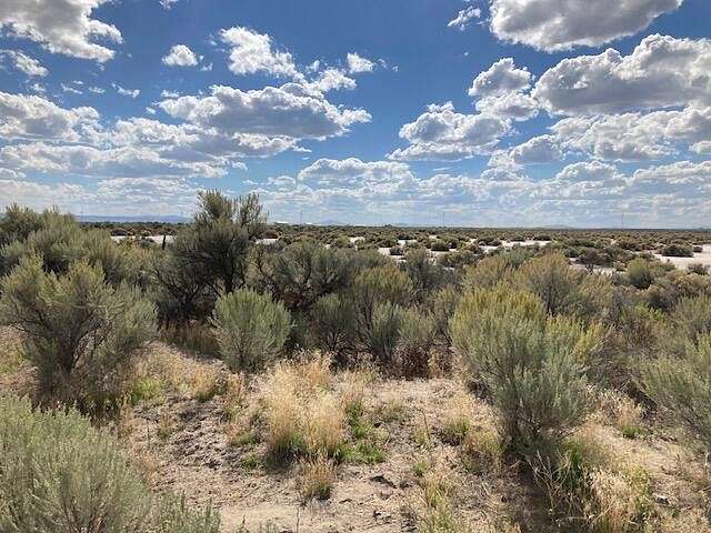 40 Acres of Land for Sale in Christmas Valley, Oregon