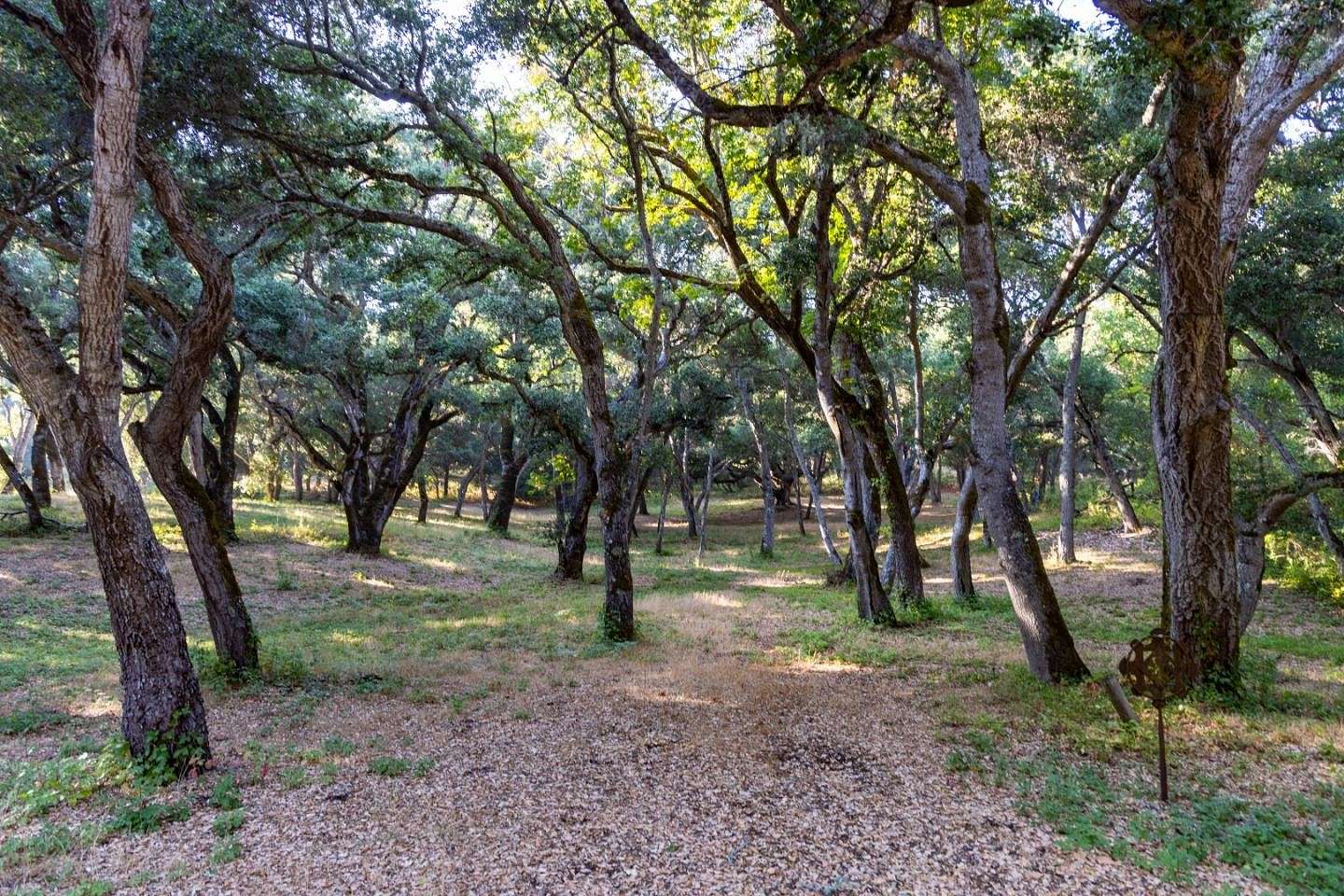 4.9 Acres of Residential Land for Sale in Carmel-by-the-Sea, California