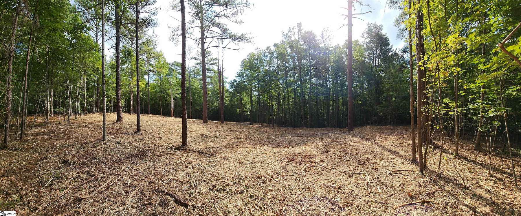 8.6 Acres of Residential Land for Sale in Salem, South Carolina