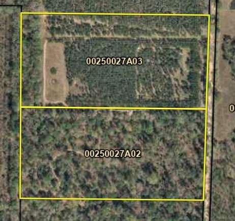 23.9 Acres of Recreational Land for Sale in Brinson, Georgia