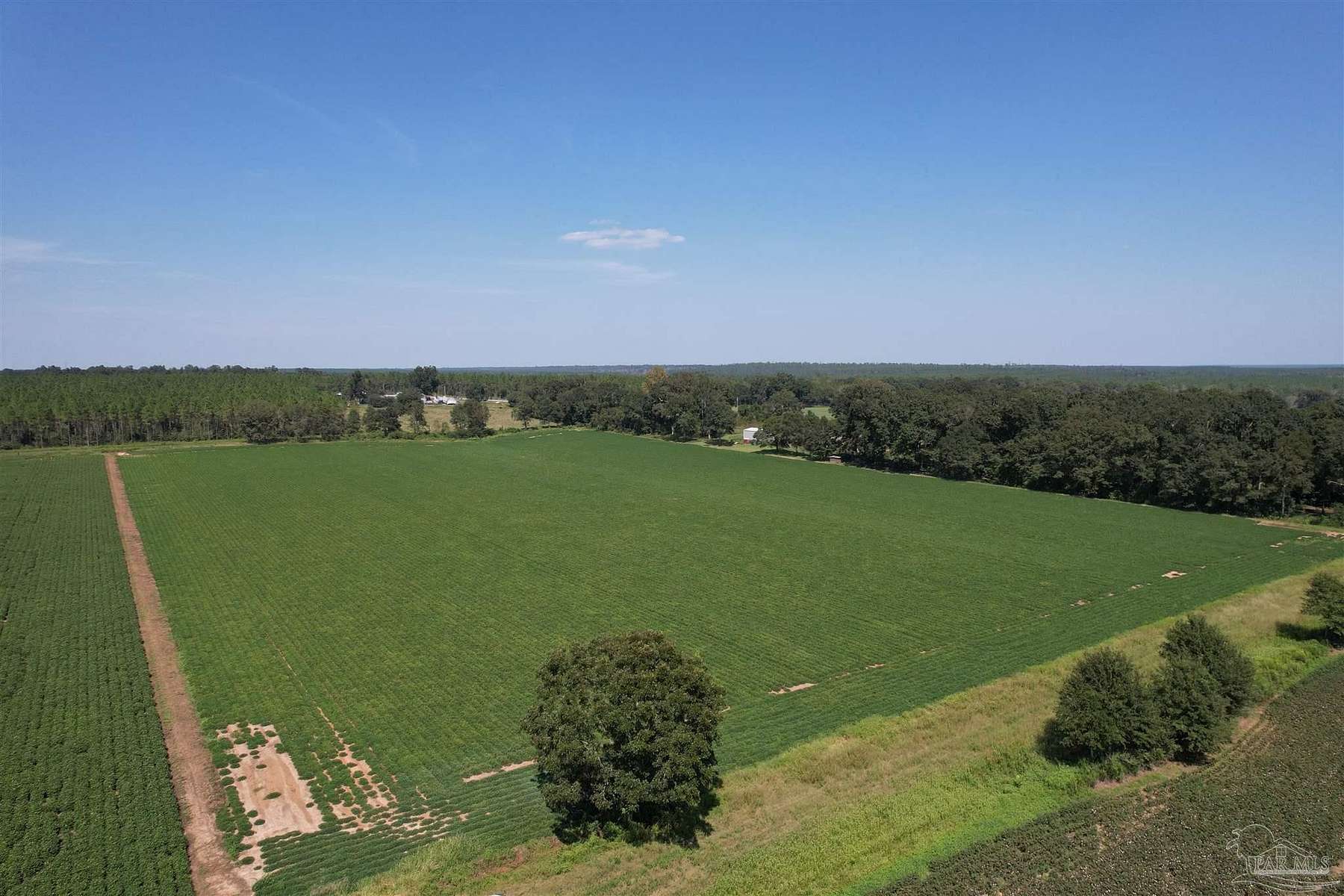 16.7 Acres of Land for Sale in Milton, Florida