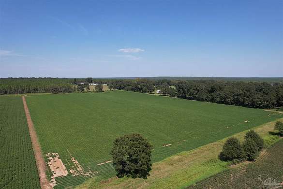 16.66 Acres of Land for Sale in Milton, Florida