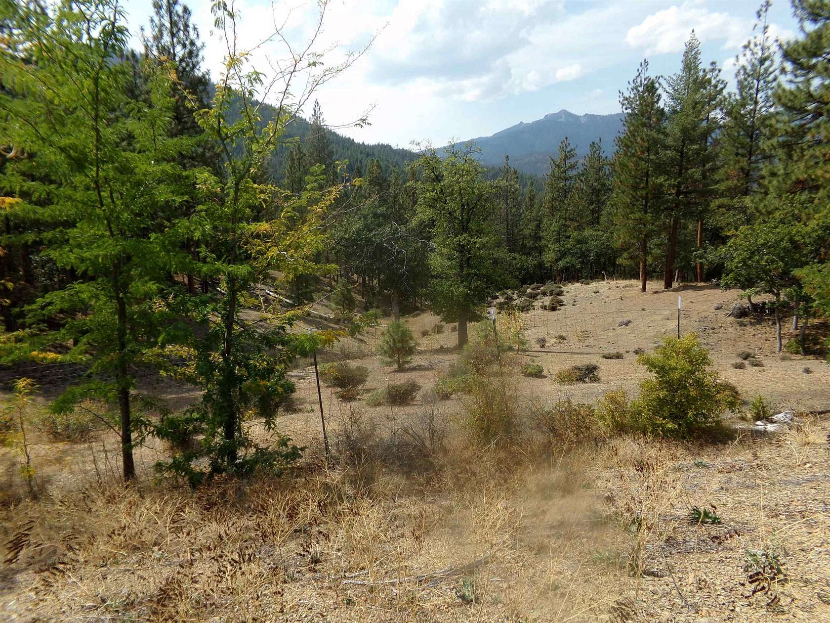 117 Acres of Recreational Land for Sale in Callahan, California