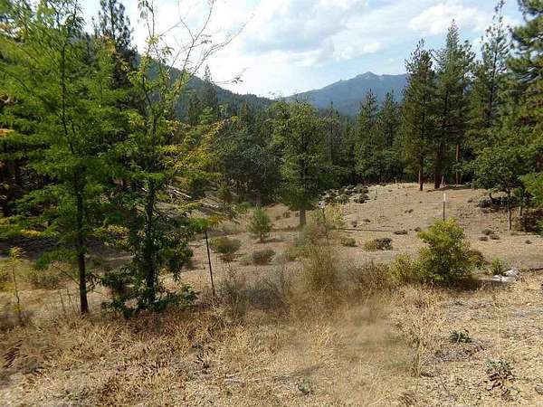 117 Acres of Land for Sale in Callahan, California