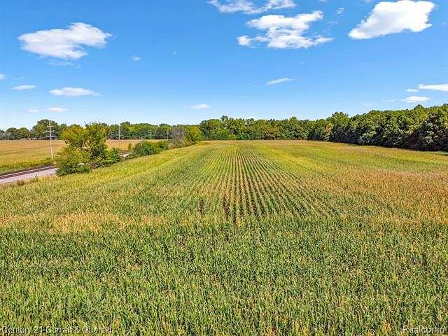 224 Acres of Land for Sale in New Boston, Michigan