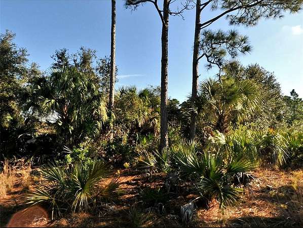 0.29 Acres of Land for Sale in North Port, Florida