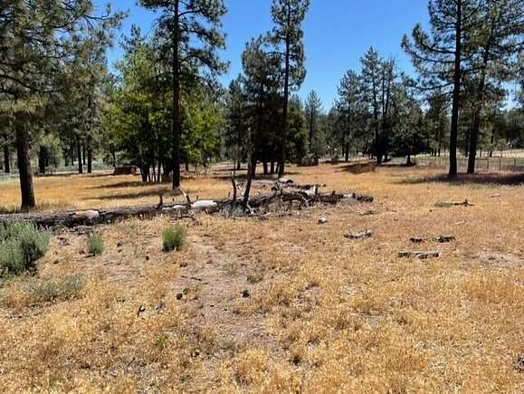 2.69 Acres of Land for Sale in Mountain Center, California