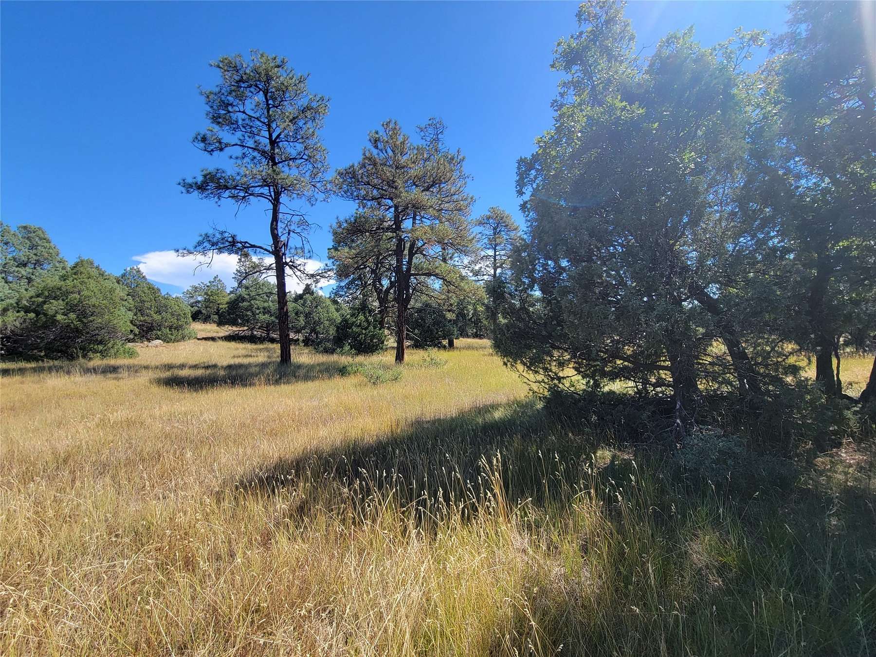 5 Acres of Residential Land for Sale in Rutheron, New Mexico