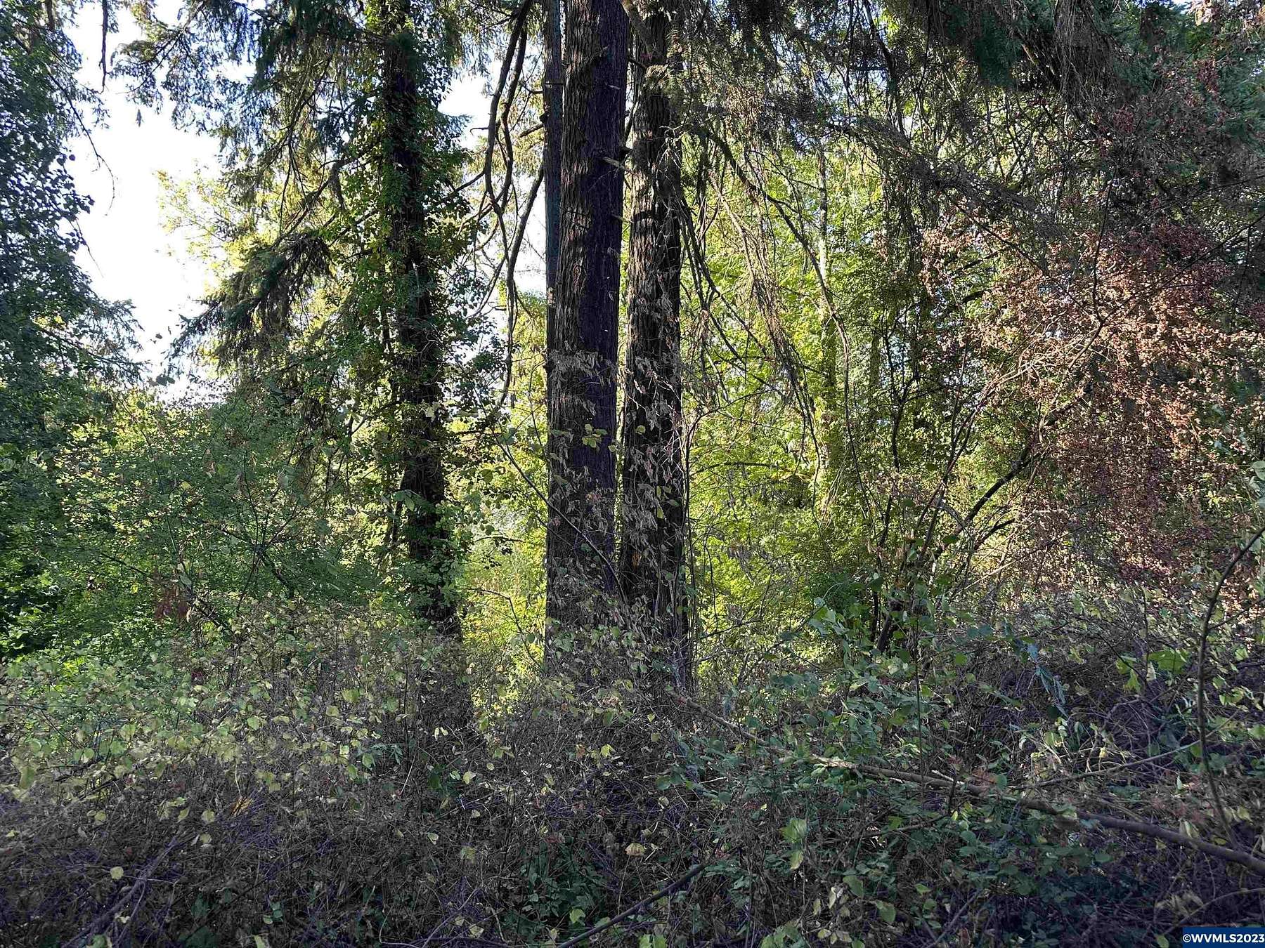 2.3 Acres of Residential Land with Home for Sale in Sweet Home, Oregon