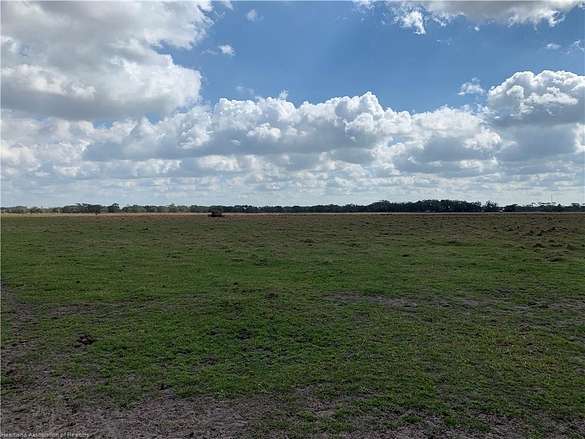 162 Acres of Agricultural Land for Sale in Venus, Florida