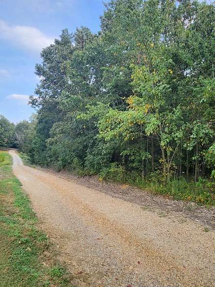 16.6 Acres of Mixed-Use Land for Sale in Dexter, Missouri