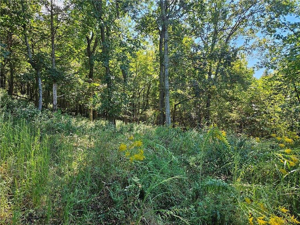 10 Acres of Recreational Land for Sale in Huntsville, Arkansas