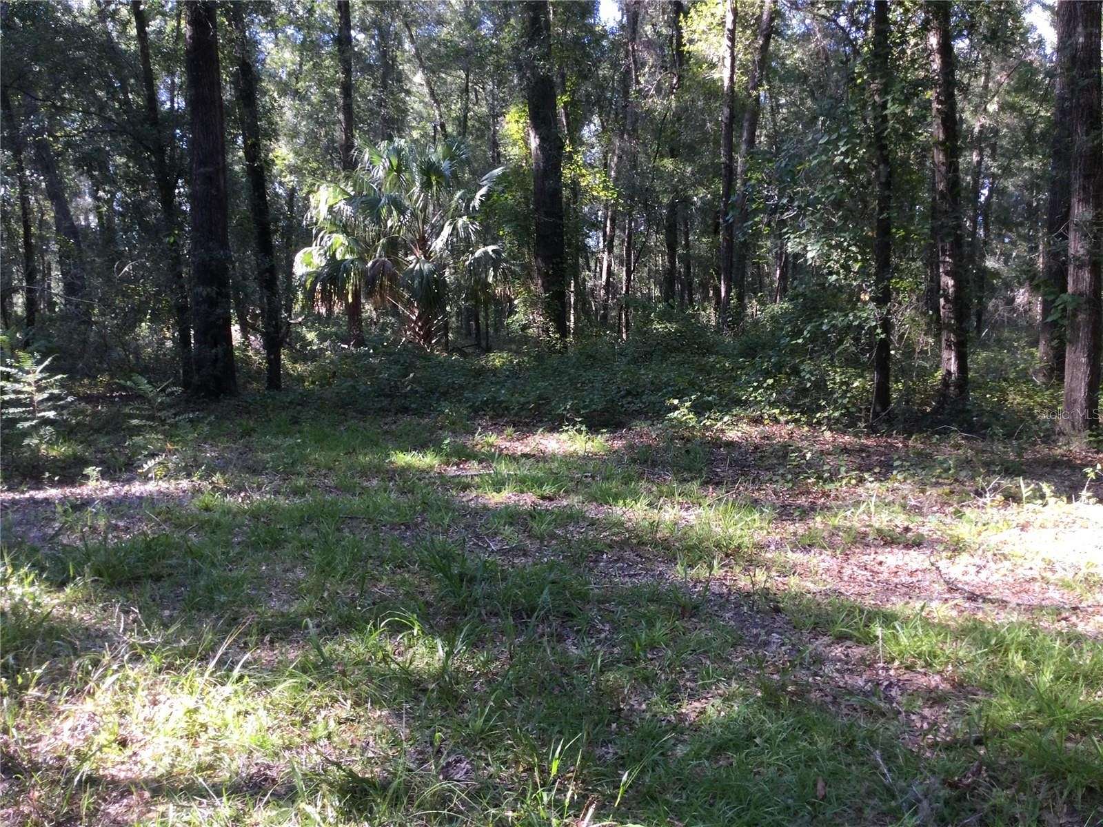 3.8 Acres of Residential Land for Sale in Gainesville, Florida