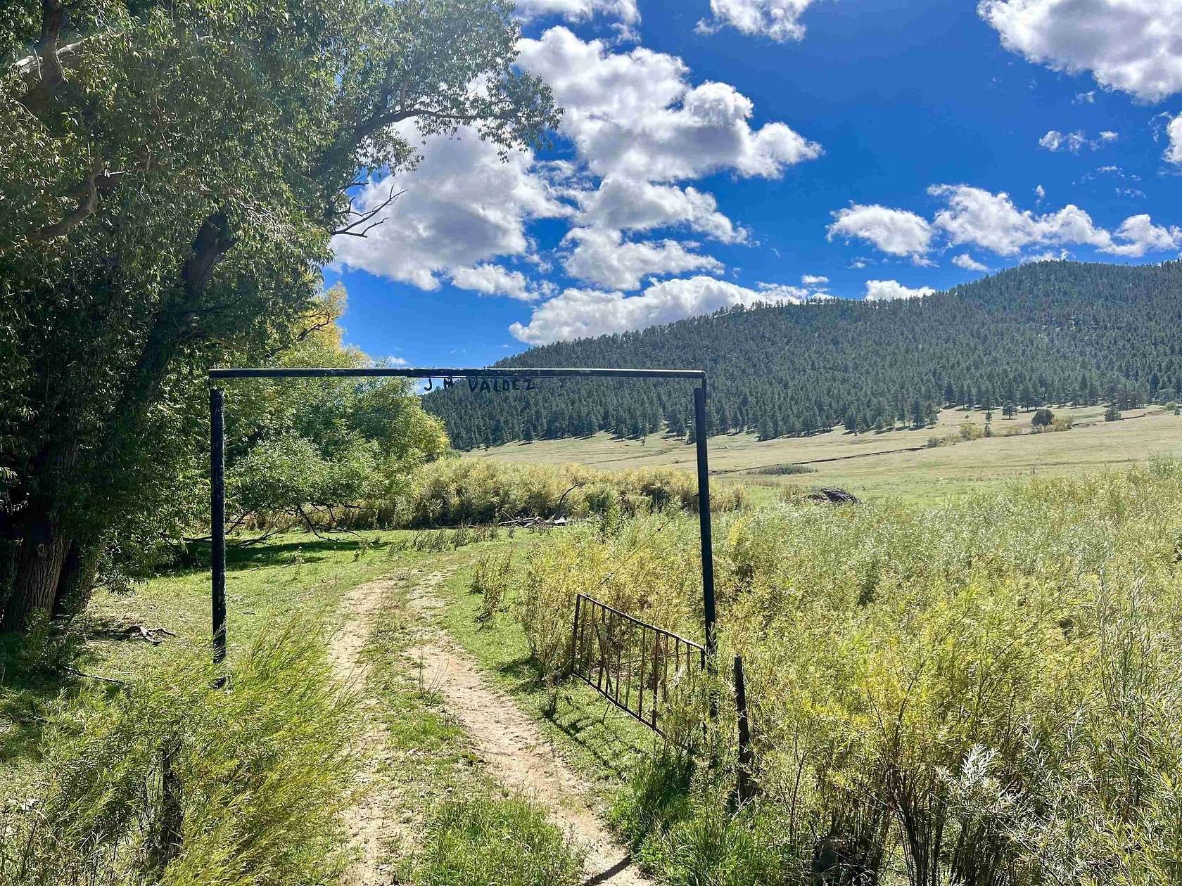 154 Acres of Land for Sale in Mora, New Mexico