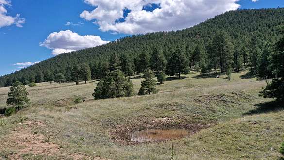 154 Acres of Land for Sale in Mora, New Mexico