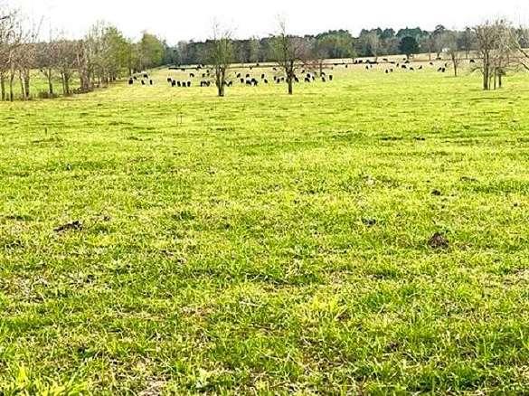 9.7 Acres of Recreational Land & Farm for Sale in Monticello, Florida