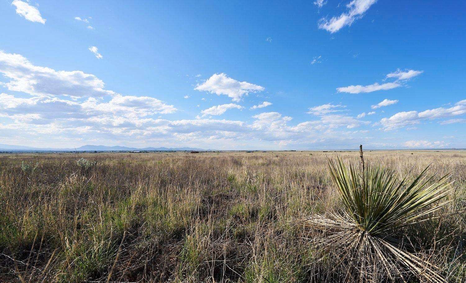 2.9 Acres of Land for Sale in Moriarty, New Mexico